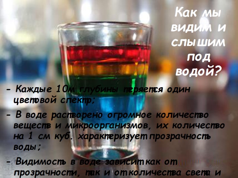 Как мы видим и слышим под водой? - Каждые 10м глубины теряется один цветовой